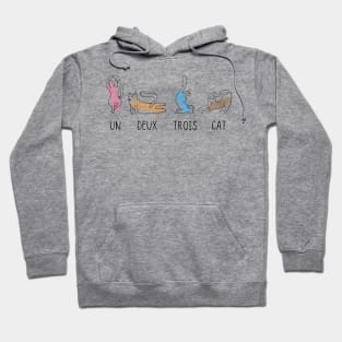 Cat in Yoga poses Hoodie